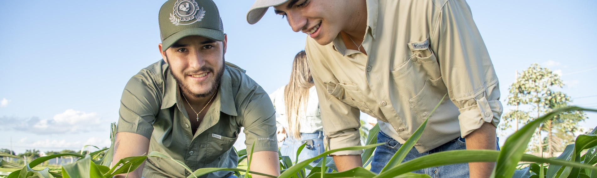 Agronómica y Zootecnia